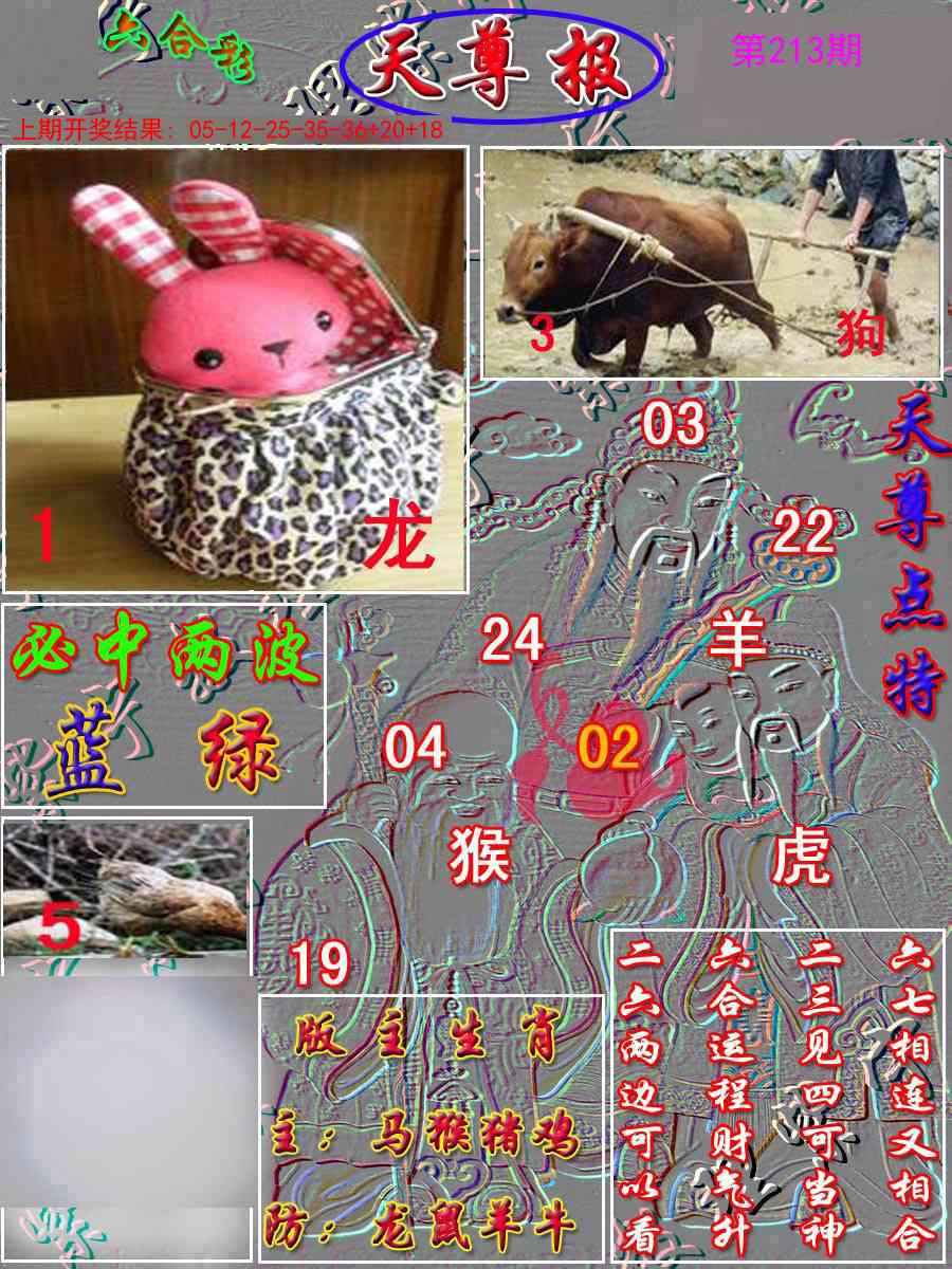 213期天尊报[图]