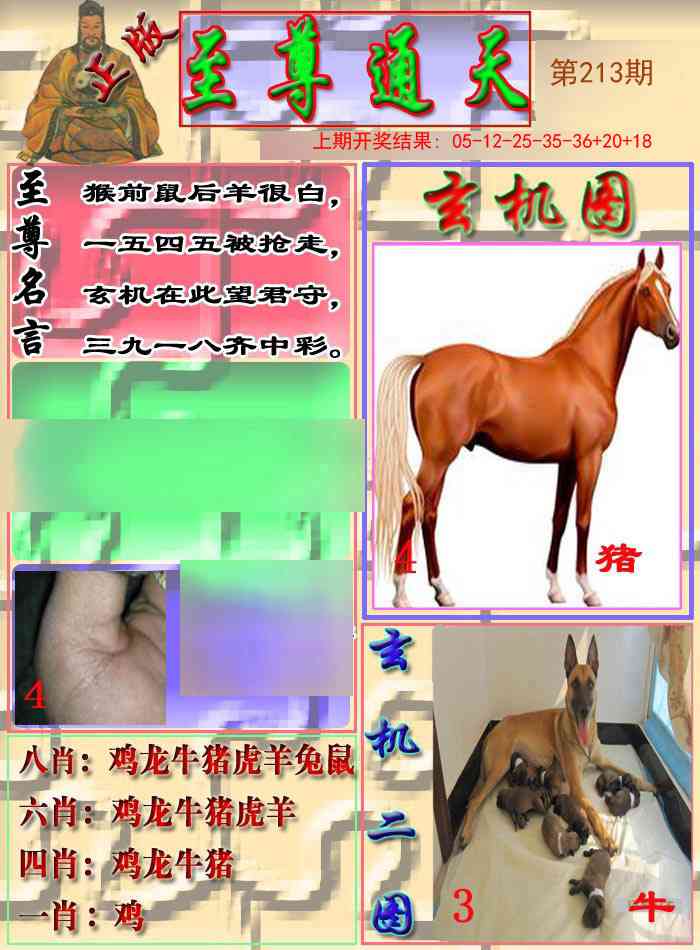 213期至通报[图]
