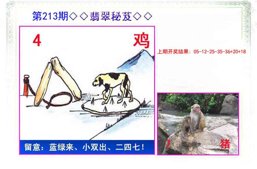 213期翡翠报[图]