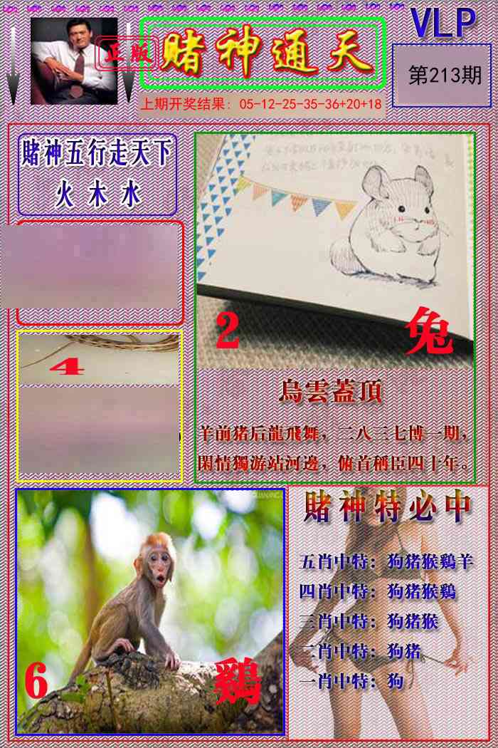 213期赌神通天报[图]
