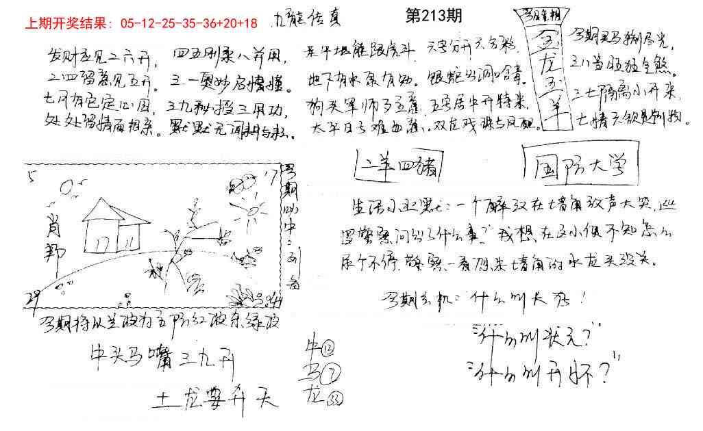 213期手写九龙内幕[图]