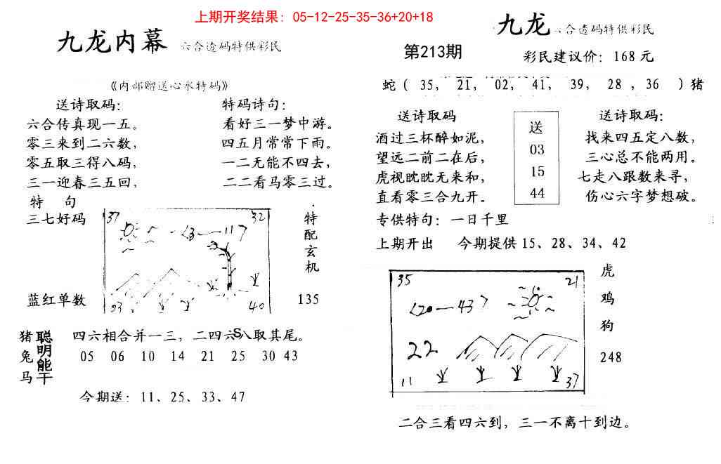 213期九龙内幕[图]