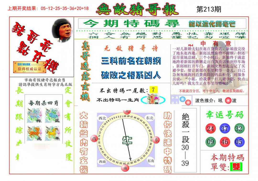 213期无敌猪哥[图]