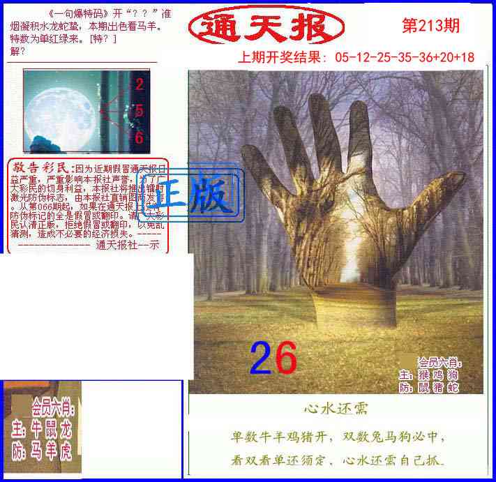 213期另通天报[图]