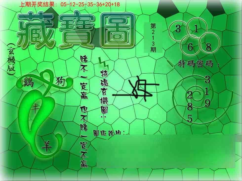 213期九龍玄机报[图]