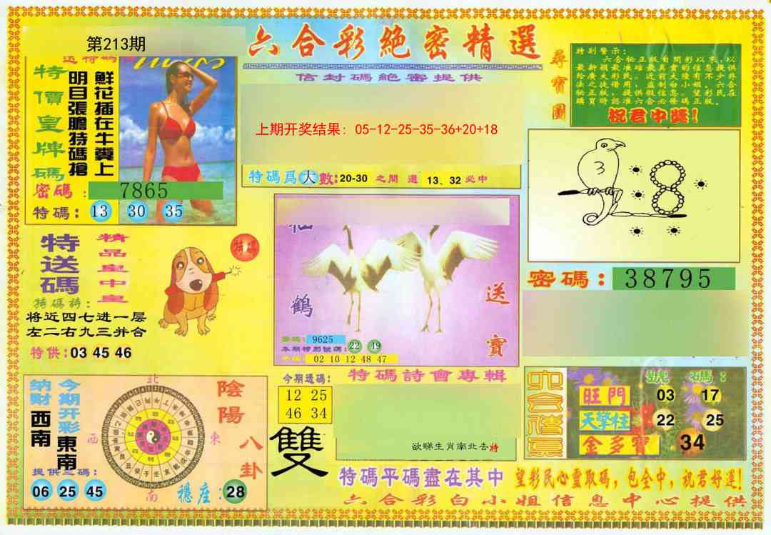 213期绝密精选A[图]