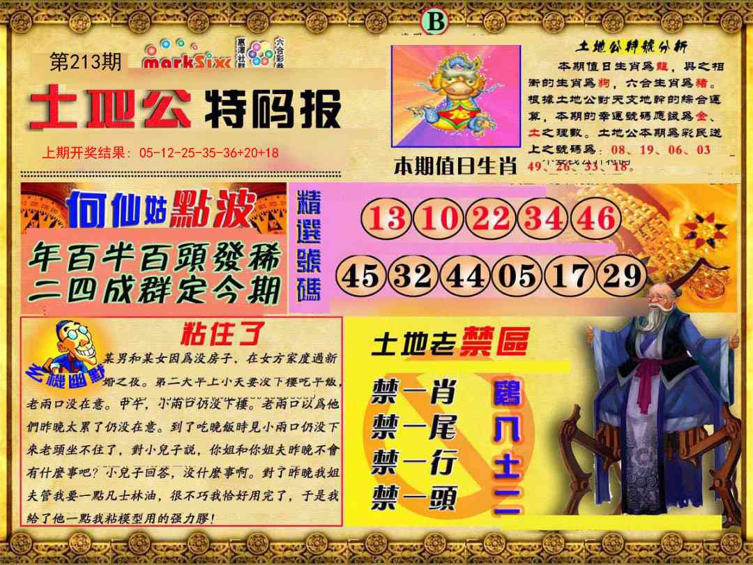 213期土地公特码报B[图]