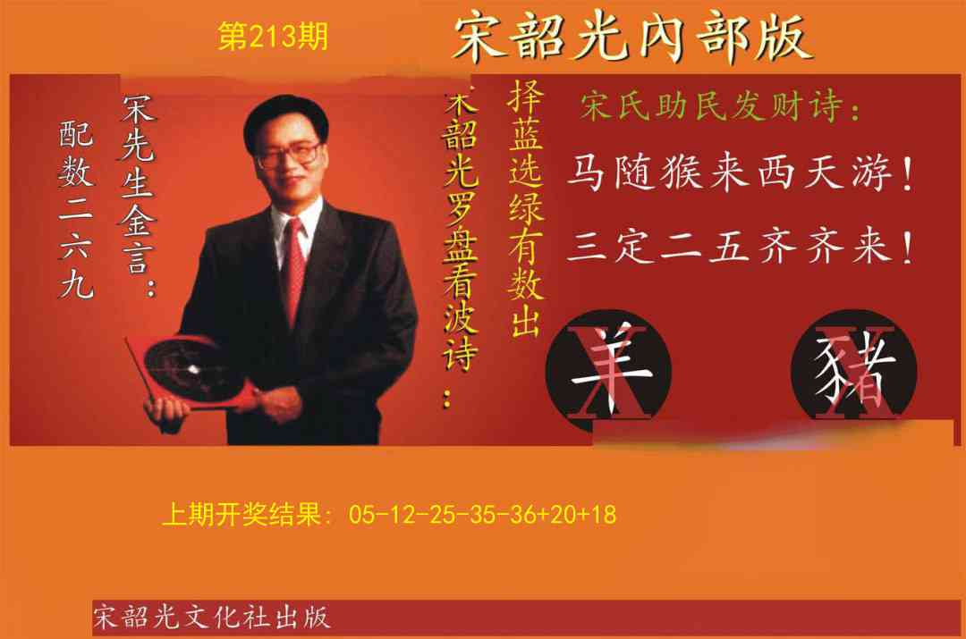 213期宋韶光内部版[图]