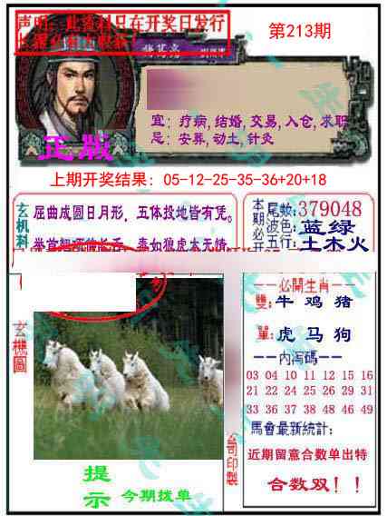 213期正版孔明报[图]