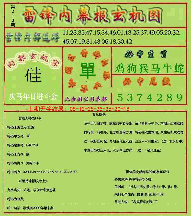 213期雷锋玄机报[图]