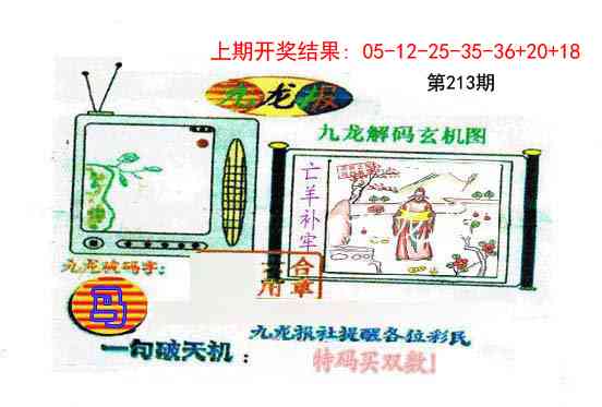 213期九龙报[图]