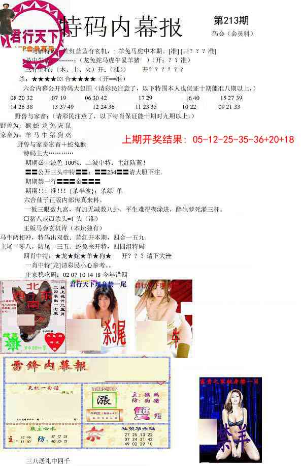 213期特码内幕报[图]