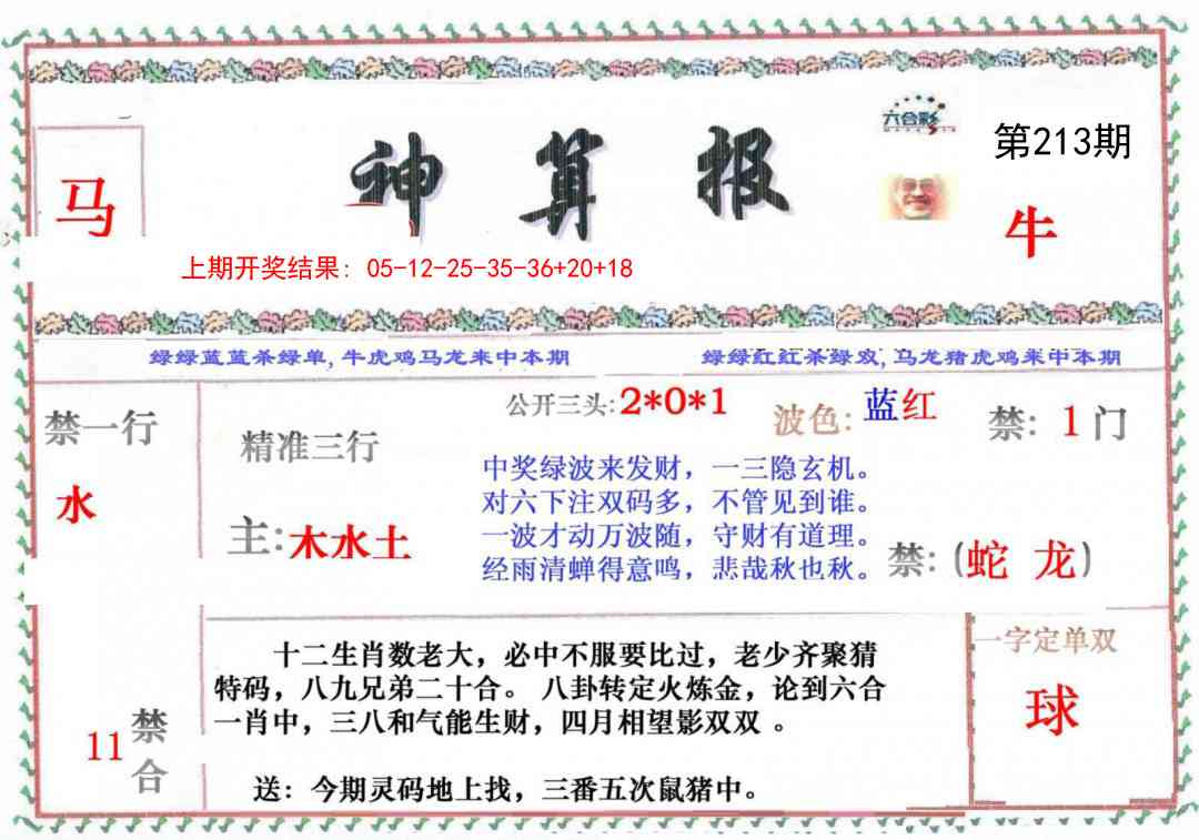 213期神算报[图]