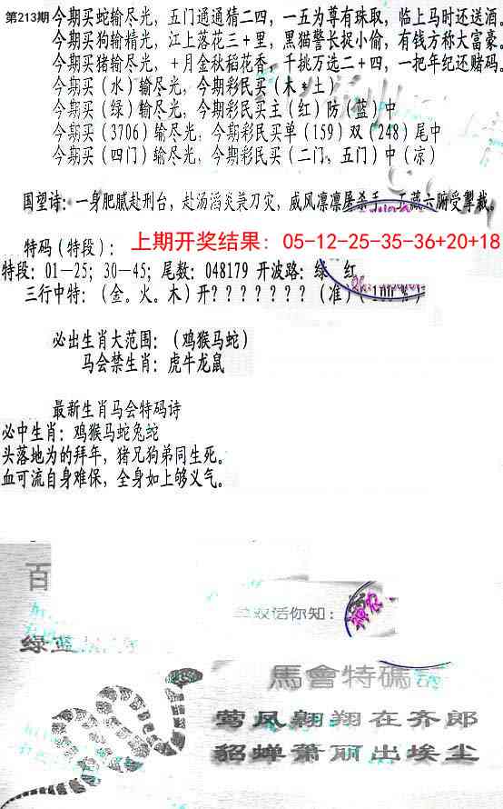213期蛇报B[图]
