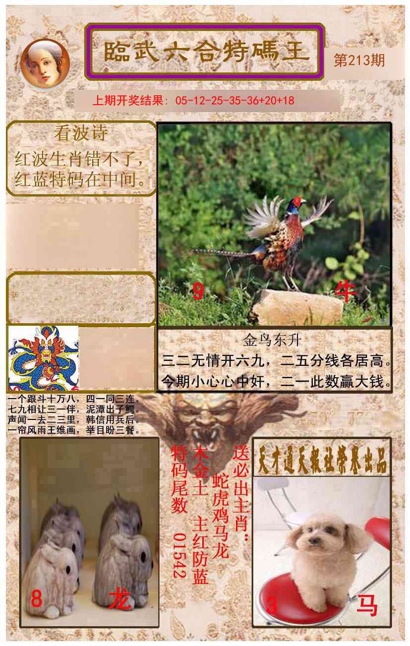 213期临武六合特码王[图]