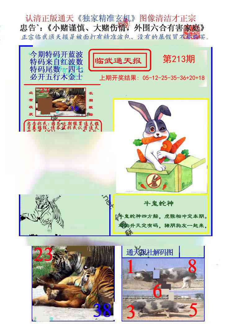 213期临武通天报[图]