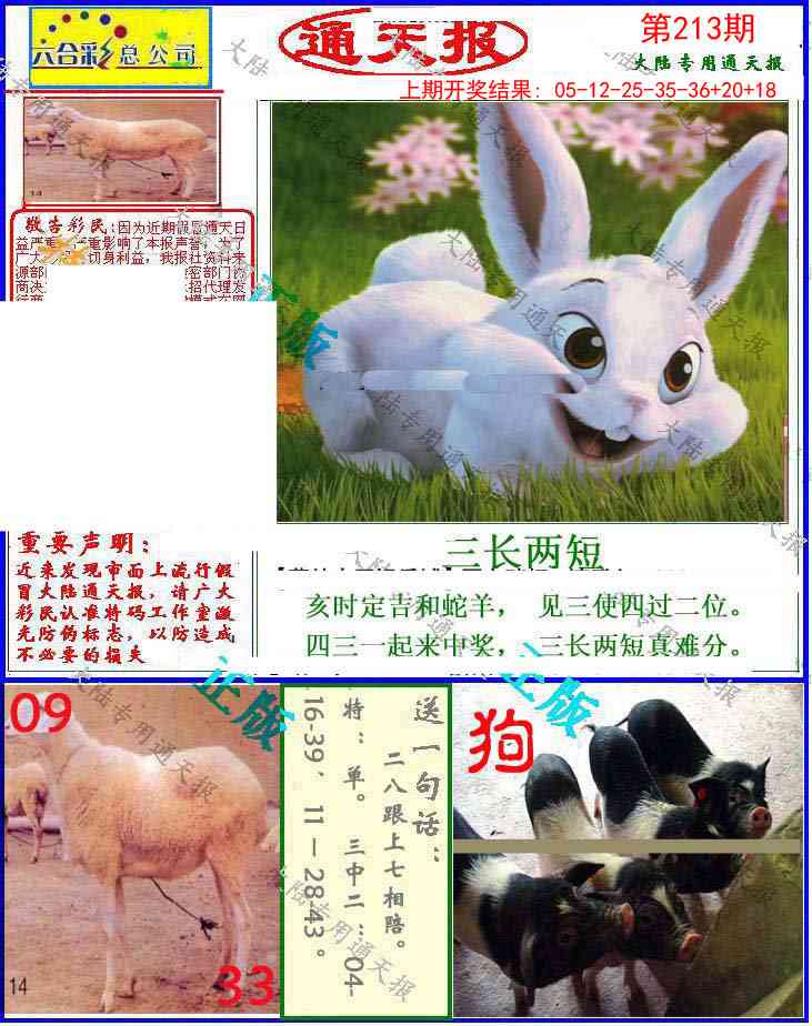 213期大陆通天报[图]