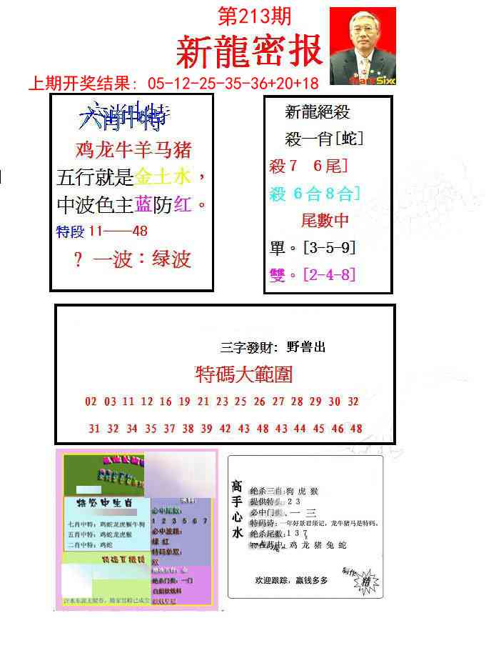 213期新龙密报[图]