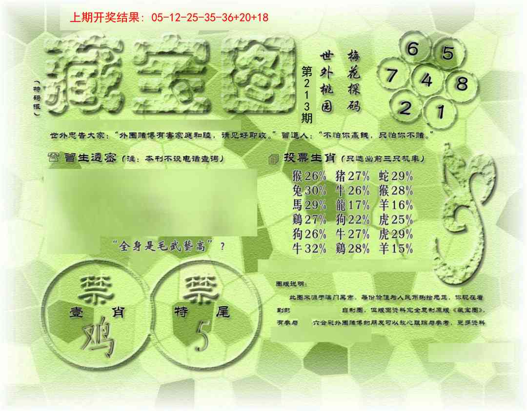 213期假老藏宝图[图]