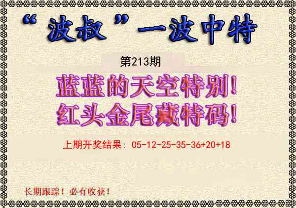 213期波叔一波中特[图]