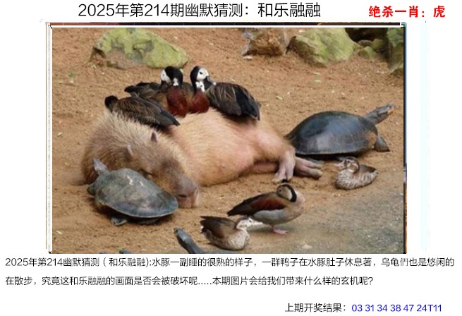 214期幽默猜测[图]