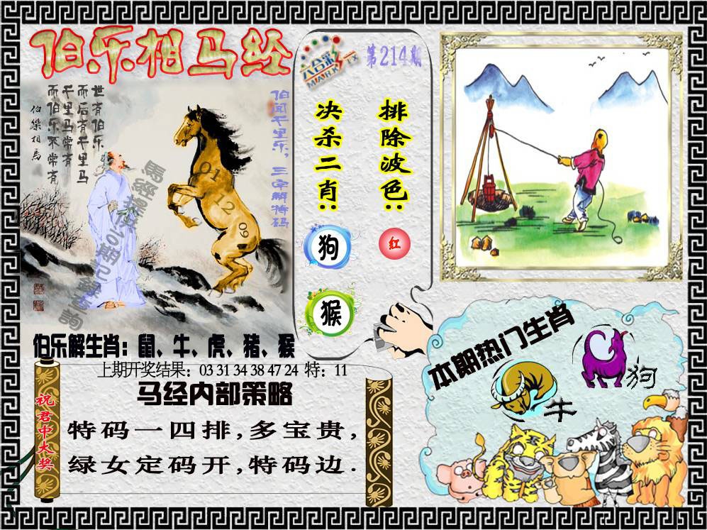 214期伯乐相马经[图]