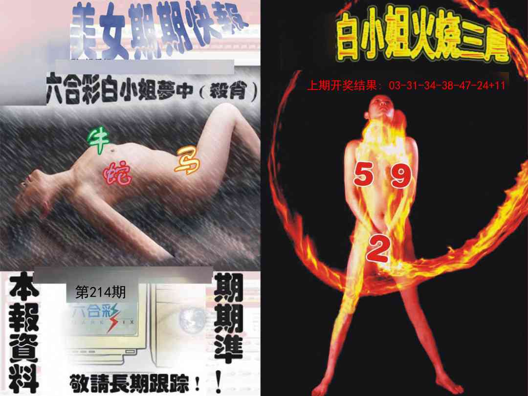 214期环球美女特码报[图]