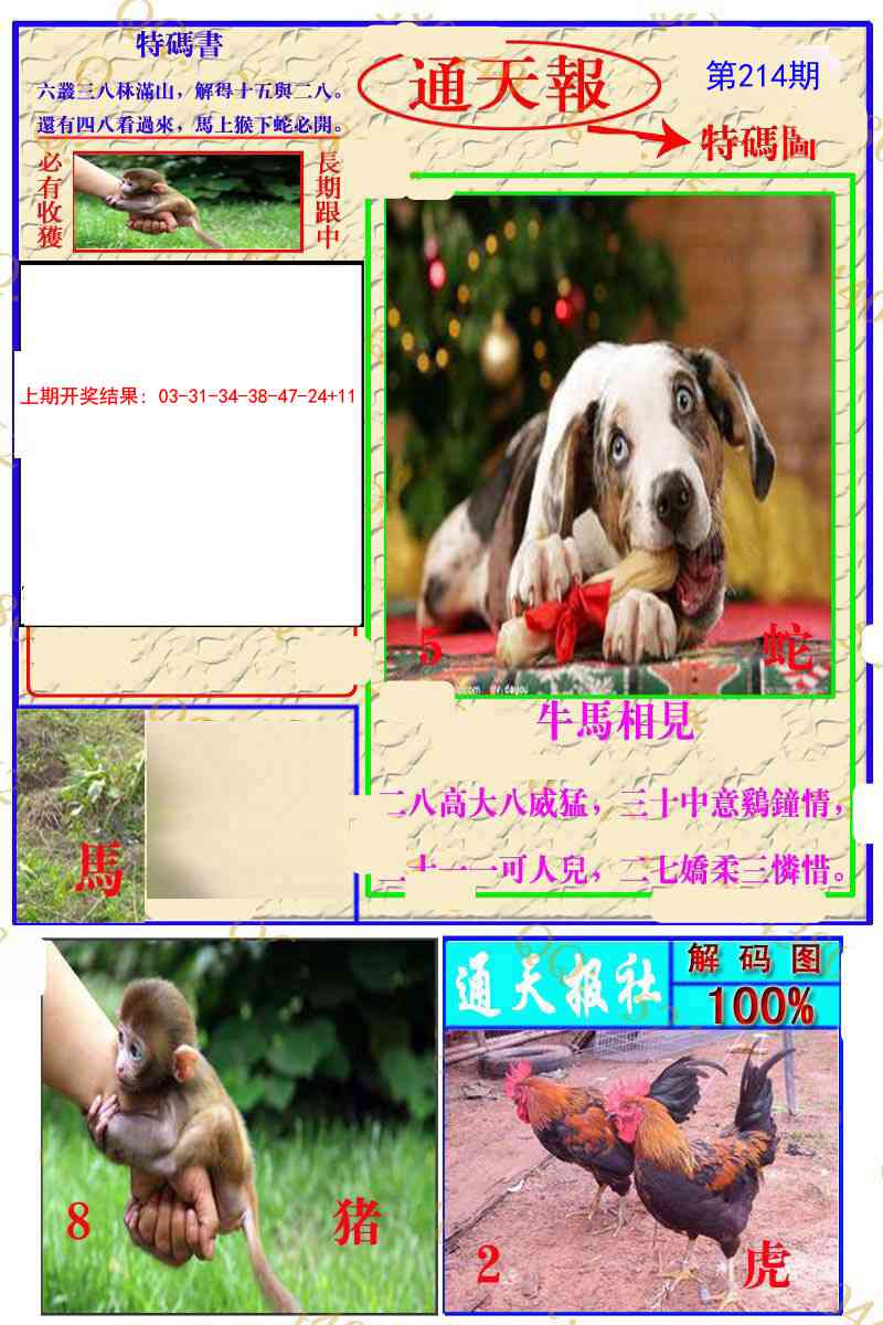 214期通天特解图[图]