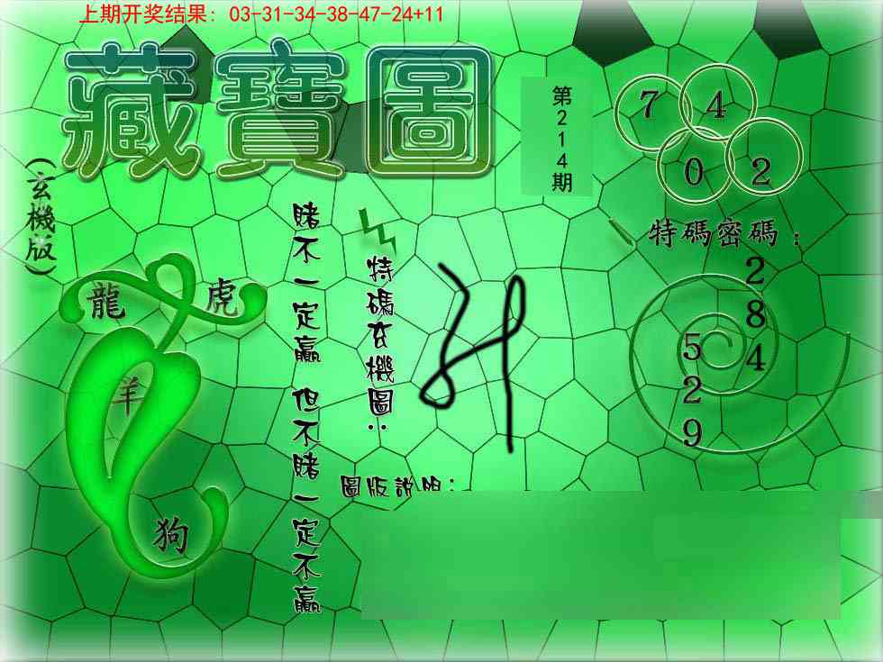 214期九龍玄机报[图]