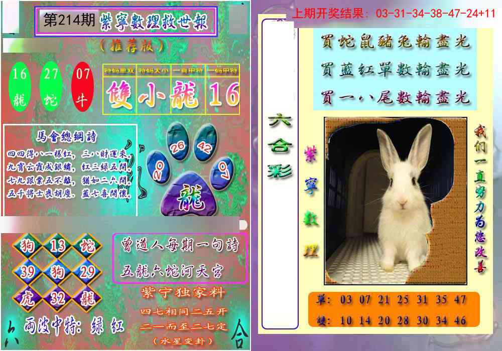 214期数理救世报[图]