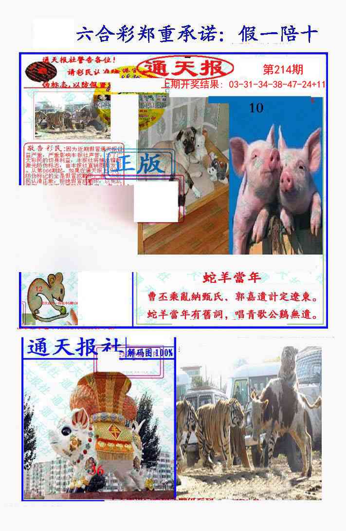 214期假一陪十通天报[图]