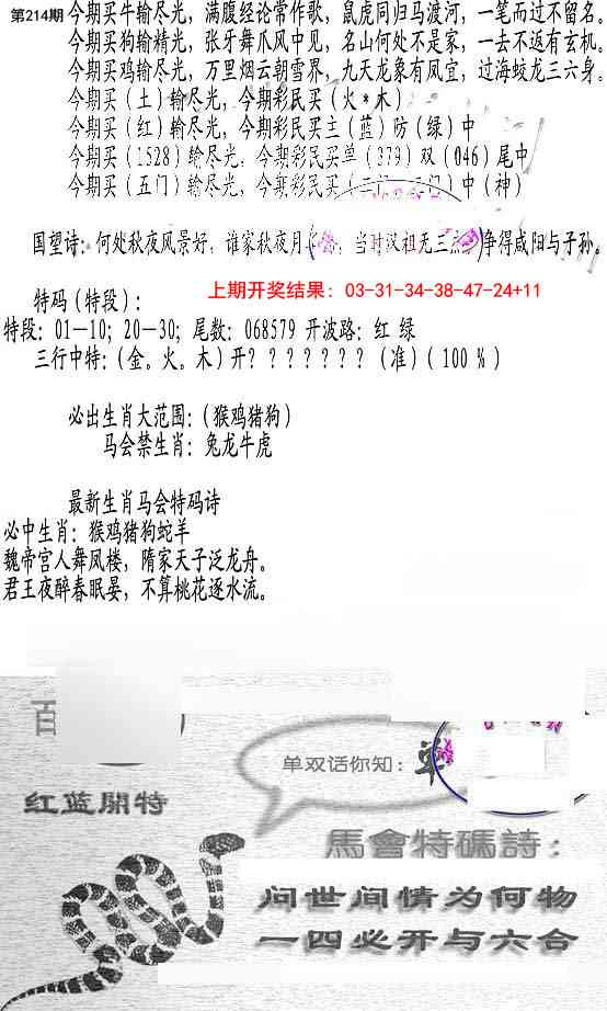 214期蛇报B[图]