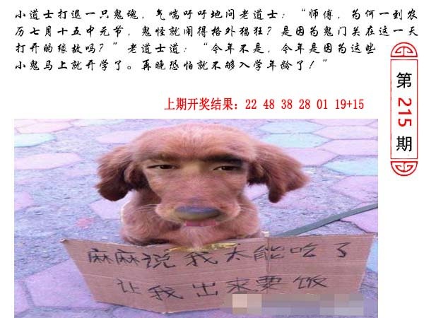 215期澳门生活幽默[图]