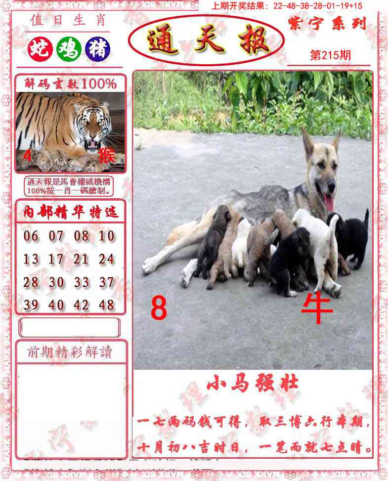 215期救通报[图]