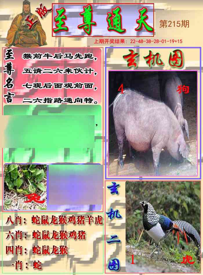 215期至通报[图]