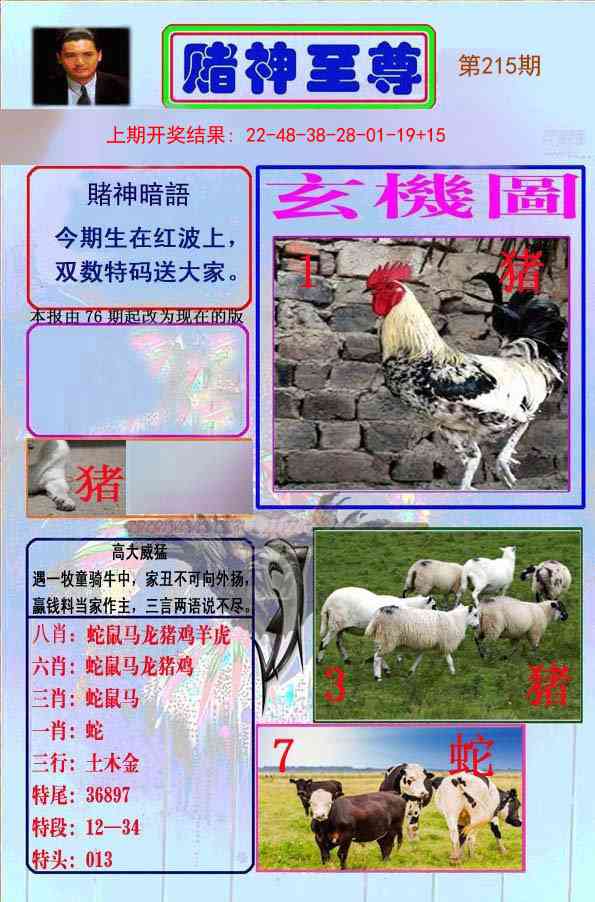 215期赌神至尊[图]