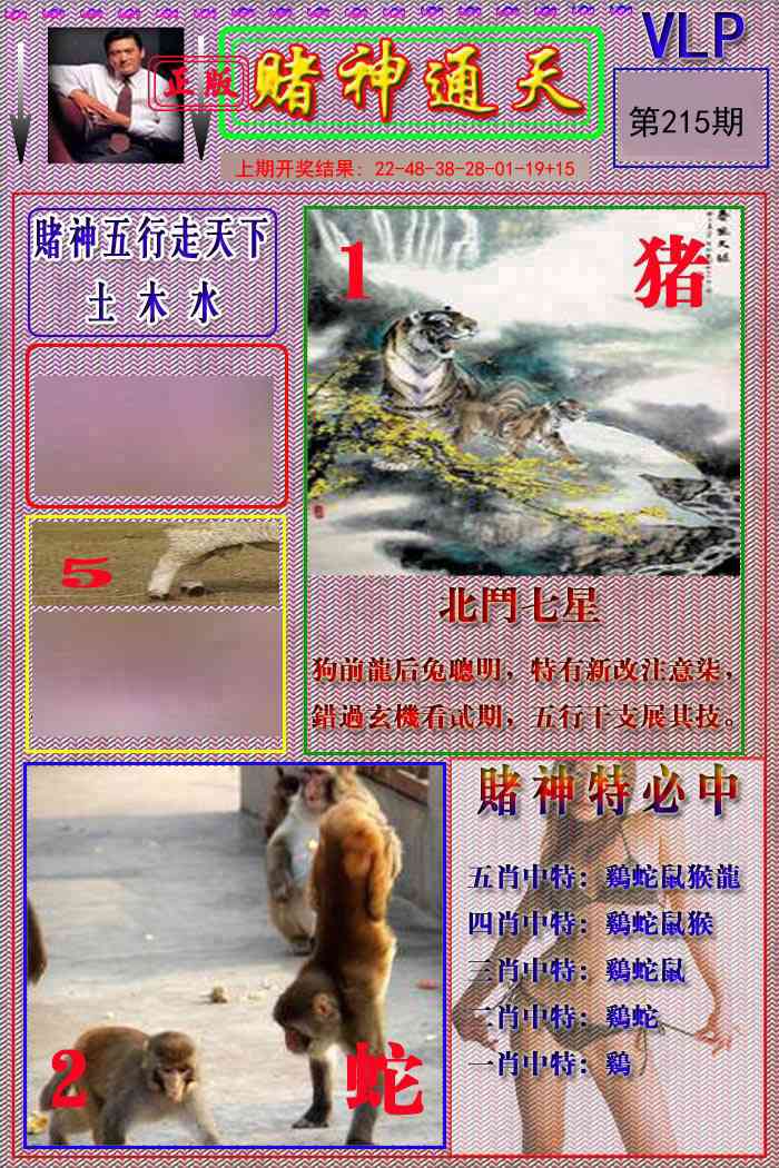 215期赌神通天报[图]