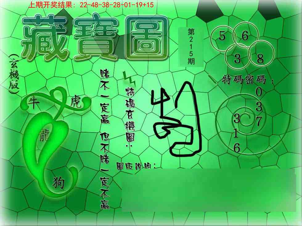 215期九龍玄机报[图]