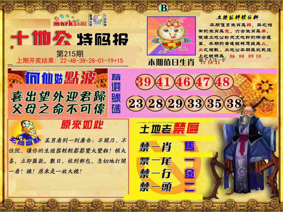 215期土地公特码报B[图]