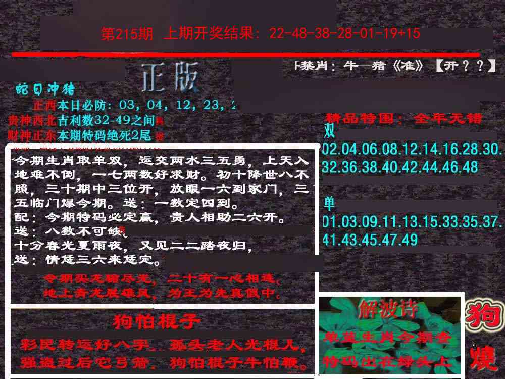 215期新港内幕[图]