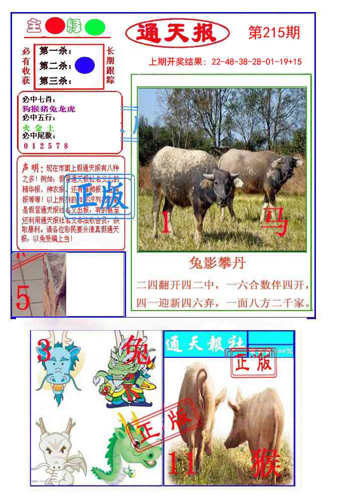 215期通天杀波图1[图]