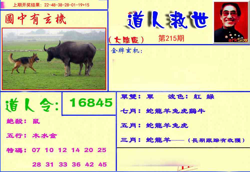 215期道人救生报[图]