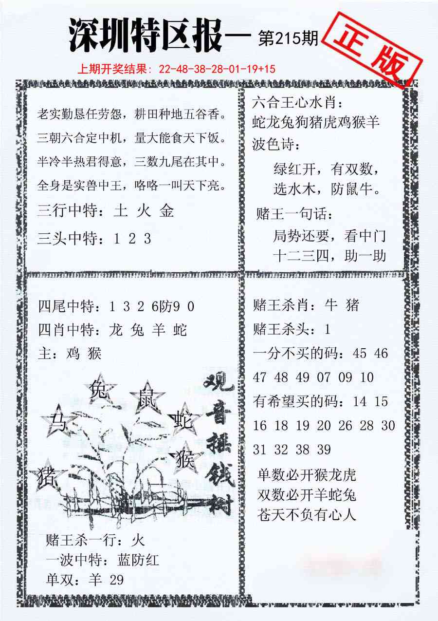 215期深圳特区报A[图]