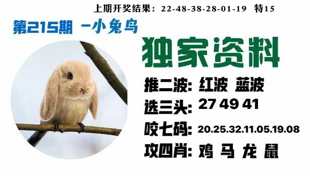 215期小兔鸟[图]