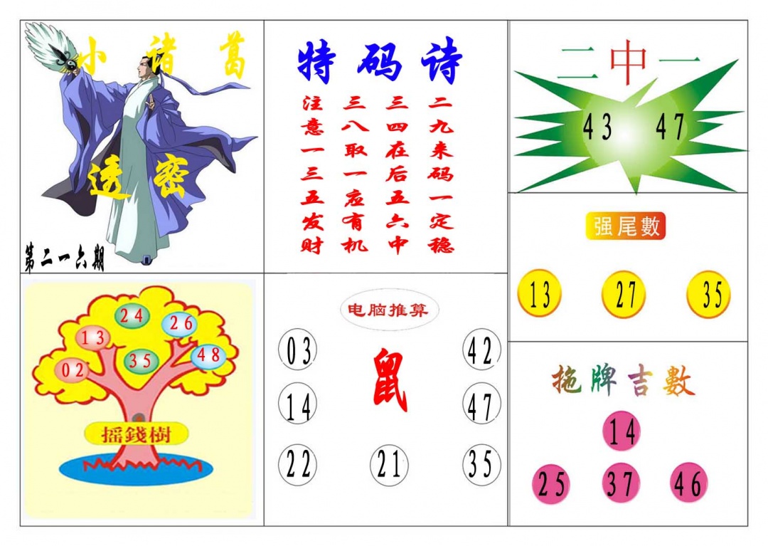 216期小诸葛[图]