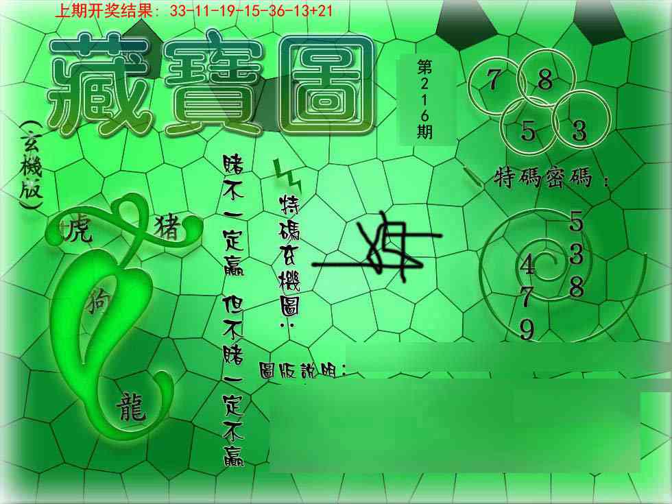 216期九龍玄机报[图]