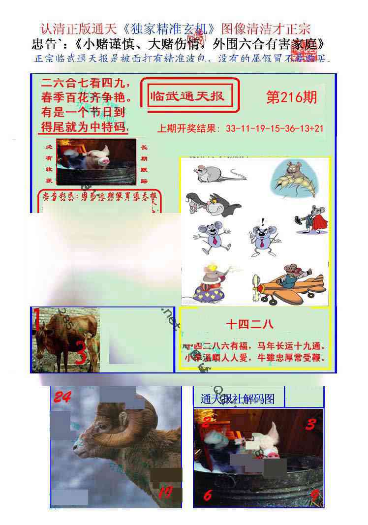 216期临武通天报[图]