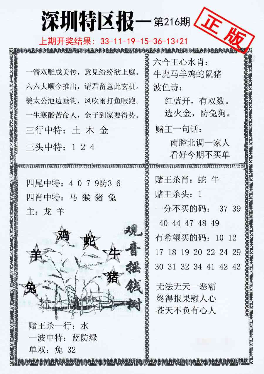 216期深圳特区报A[图]