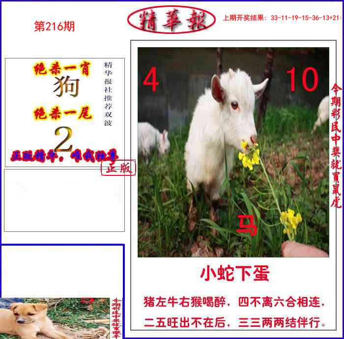 216期新精华报报[图]