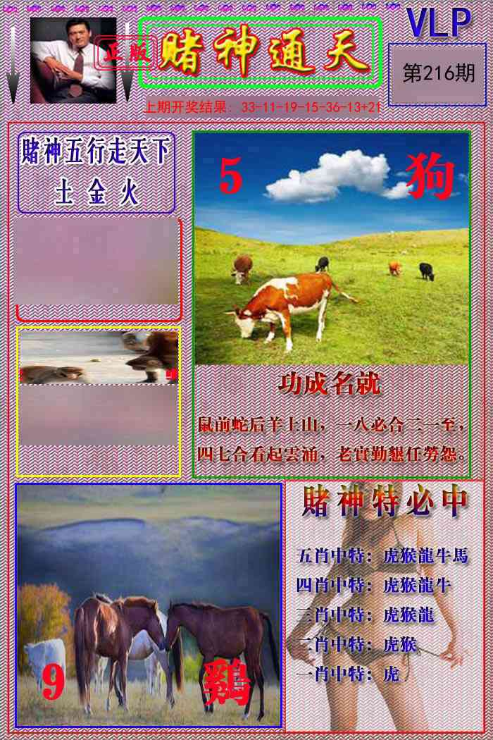 216期赌神通天报[图]
